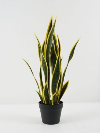 Artificial Tree 30*30*66cm Sansevieria *6 in PP pot GS-59522098 Tree&Plant 3,000+ sqm showroom with thousands of artificial flowers, plants & trees ready for global sourcing.
