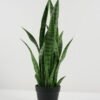Artificial Tree 30*30*66cm Sansevieria *6 in PP pot GS-59522098 Tree&Plant YeahFlower is one of Chinese leading OEM manufacturers and exporters , supplying the silk flowers, wholesale artificial trees