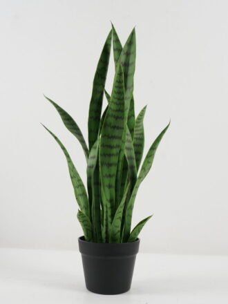 Artificial Tree 30*30*66cm Sansevieria *6 in PP pot GS-59522099 Tree&Plant 3,000+ sqm showroom with thousands of artificial flowers, plants & trees ready for global sourcing.