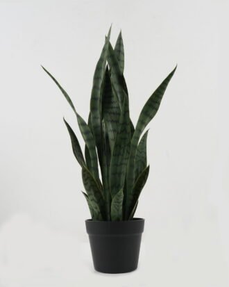 Artificial Tree 30*30*66cm Sansevieria *6 in PP pot GS-59522099 Tree&Plant YeahFlower is one of Chinese leading OEM manufacturers and exporters , supplying the silk flowers, wholesale artificial trees