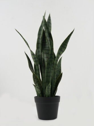 Artificial Tree 30*30*66cm Sansevieria *6 in PP pot GS-59522098 Tree&Plant 3,000+ sqm showroom with thousands of artificial flowers, plants & trees ready for global sourcing.