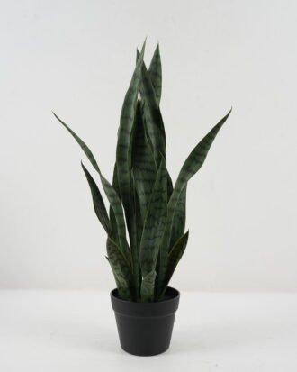 Artificial Tree 30*30*66cm Sansevieria *6 in PP pot GS-59522099 Tree&Plant YeahFlower is one of Chinese leading OEM manufacturers and exporters , supplying the silk flowers, wholesale artificial trees