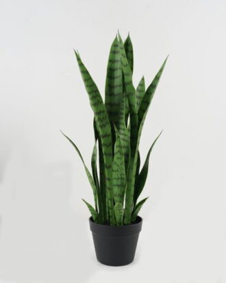 Artificial Tree 30*30*74cm Sansevieria *8 in PP pot GS-59522101 Tree&Plant YeahFlower is one of Chinese leading OEM manufacturers and exporters , supplying the silk flowers, wholesale artificial trees