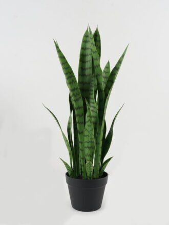Artificial Tree 30*30*74cm Sansevieria *8 in PP pot GS-59522100 Tree&Plant 3,000+ sqm showroom with thousands of artificial flowers, plants & trees ready for global sourcing.