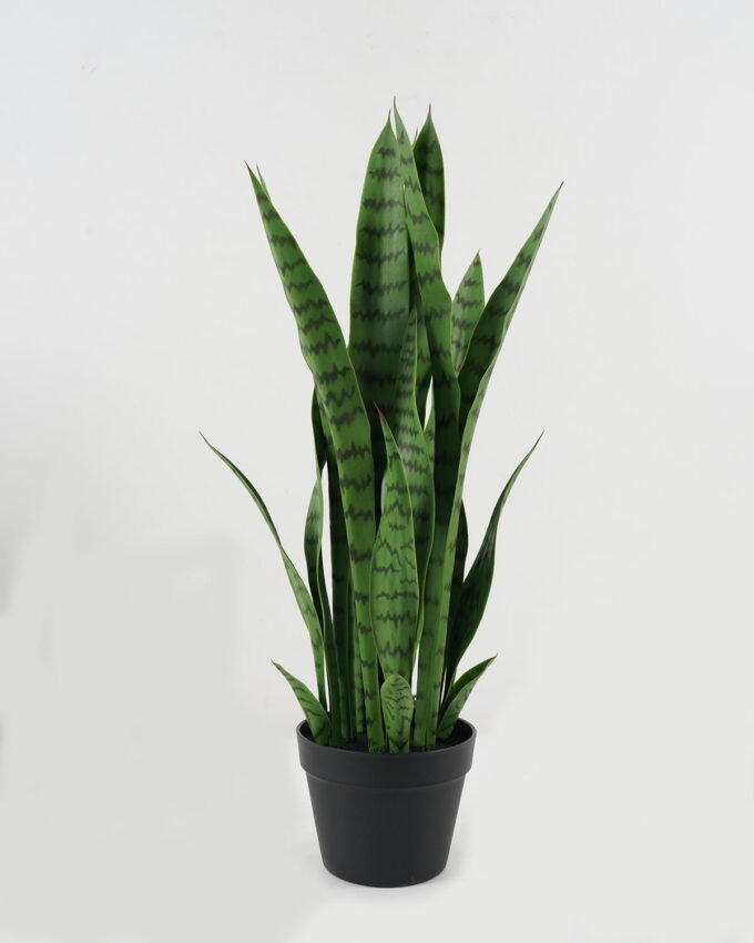 Artificial Tree 30*30*74cm Sansevieria *8 in PP pot GS-59522101 Tree&Plant YeahFlower is one of Chinese leading OEM manufacturers and exporters , supplying the silk flowers, wholesale artificial trees
