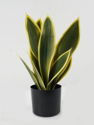 Artificial Tree 54*54*51cm Plant in PP pot GS-59522116 Tree&Plant 3,000+ sqm showroom with thousands of artificial flowers, plants & trees ready for global sourcing.