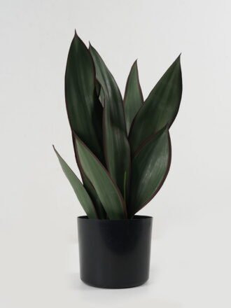 Artificial Tree 31*31*49cm Sansevieria in PP pot GS-59522119 Tree&Plant 3,000+ sqm showroom with thousands of artificial flowers, plants & trees ready for global sourcing.