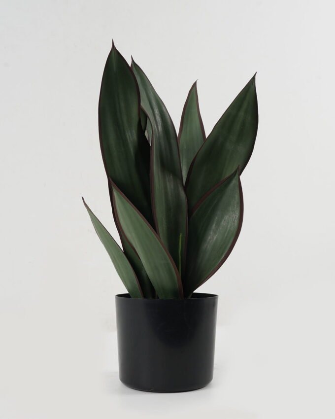 Artificial Tree 28*28*49cm Sansevieria in PP pot GS-59522118 Tree&Plant YeahFlower is one of Chinese leading OEM manufacturers and exporters , supplying the silk flowers, wholesale artificial trees