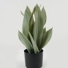 Artificial Tree 31*31*49cm Sansevieria in PP pot GS-59522119 Tree&Plant YeahFlower is one of Chinese leading OEM manufacturers and exporters , supplying the silk flowers, wholesale artificial trees