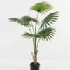 Artificial Tree 65*65*119*cm Livistona chinensis in PP pot GS-67722008 Tree&Plant YeahFlower is one of Chinese leading OEM manufacturers and exporters , supplying the silk flowers, wholesale artificial trees