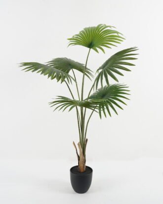 Artificial Tree 65*65*119*cm Livistona chinensis in PP pot GS-67722008 Tree&Plant YeahFlower is one of Chinese leading OEM manufacturers and exporters , supplying the silk flowers, wholesale artificial trees Artificial Tree 65*65*119*cm Livistona chinensis in PP pot GS-67722008 Tree&Plant YeahFlower is one of Chinese leading OEM manufacturers and exporters , supplying the silk flowers, wholesale artificial trees