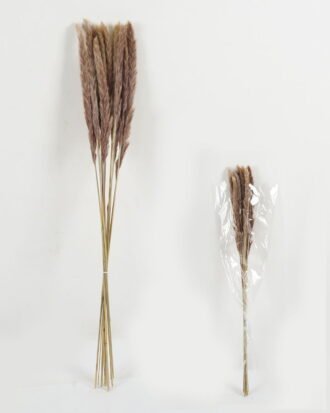 Dried Flowers 25*80cm Reed(REMARK:standard :weight/30g) GS-56622058 Bouquet YeahFlower is one of Chinese leading OEM manufacturers and exporters , supplying the silk flowers, wholesale artificial trees