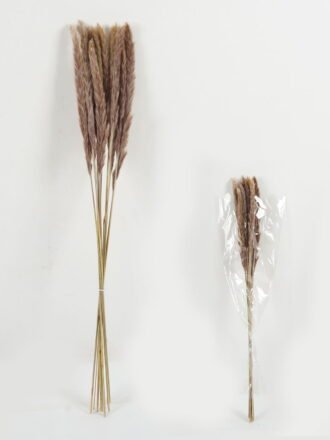Dried Flowers 25*80cm Reed(REMARK:standard :weight/30g) GS-56622059 Bouquet 3,000+ sqm showroom with thousands of artificial flowers, plants & trees ready for global sourcing.