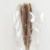 Dried Flowers 25*80cm Reed(REMARK:standard :weight/30g) GS-56622058 Bouquet YeahFlower is one of Chinese leading OEM manufacturers and exporters , supplying the silk flowers, wholesale artificial trees