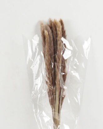 Dried Flowers 25*80cm Reed(REMARK:standard :weight/30g) GS-56622058 Bouquet YeahFlower is one of Chinese leading OEM manufacturers and exporters , supplying the silk flowers, wholesale artificial trees