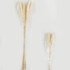 Dried Flowers 25*80cm Reed(REMARK:standard :weight/30g) GS-56622059 Bouquet YeahFlower is one of Chinese leading OEM manufacturers and exporters , supplying the silk flowers, wholesale artificial trees