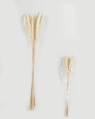 Dried Flowers 25*80cm Reed(REMARK:standard :weight/30g) GS-56622059 Bouquet YeahFlower is one of Chinese leading OEM manufacturers and exporters , supplying the silk flowers, wholesale artificial trees