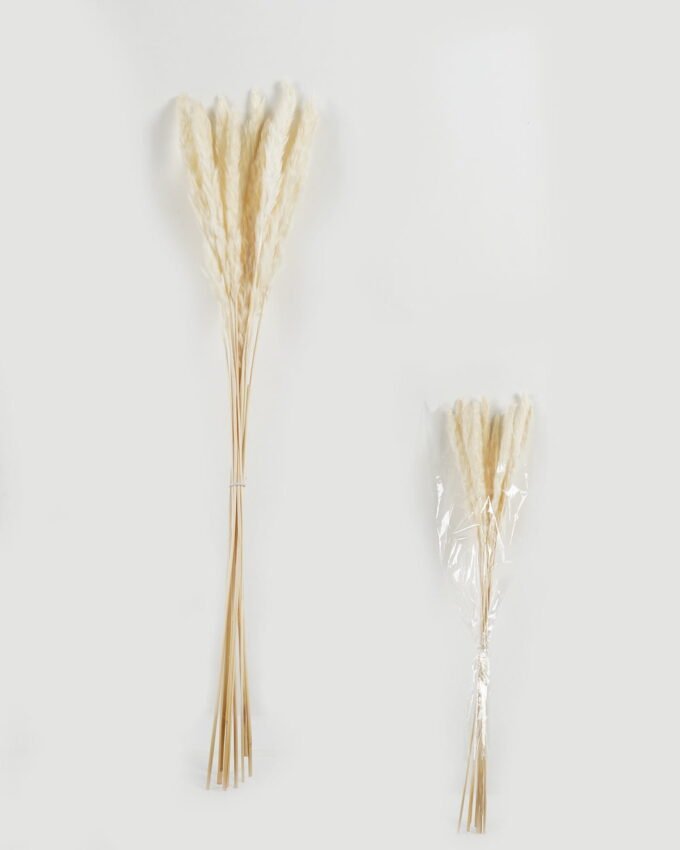 Dried Flowers 25*80cm Reed(REMARK:standard :weight/30g) GS-56622059 Bouquet YeahFlower is one of Chinese leading OEM manufacturers and exporters , supplying the silk flowers, wholesale artificial trees