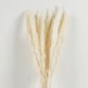 Dried Flowers 25*80cm Reed(REMARK:standard :weight/30g) GS-56622059 Bouquet YeahFlower is one of Chinese leading OEM manufacturers and exporters , supplying the silk flowers, wholesale artificial trees