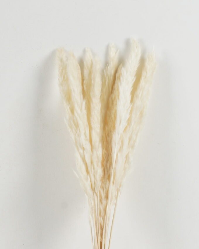 Dried Flowers 25*80cm Reed(REMARK:standard :weight/30g) GS-56622059 Bouquet YeahFlower is one of Chinese leading OEM manufacturers and exporters , supplying the silk flowers, wholesale artificial trees