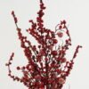 Artificial Branch fruit Fruit single stem GS-66622015_1 Artificial Branch fruit 25*80cm Fruit single stem GS-66622015 Christmas Item YeahFlower is one of Chinese leading OEM manufacturers and exporters , supplying the silk flowers, wholesale artificial trees