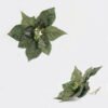 Artificial Flower 7*17cm Christmas flower single stem GS-16822102-G2 Christmas Item YeahFlower is one of Chinese leading OEM manufacturers and exporters , supplying the silk flowers, wholesale artificial trees