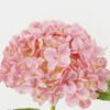 Artificial Flower 26*26*45cm Hydrangea *11 single stem GS-15422073 Single Flowers YeahFlower is one of Chinese leading OEM manufacturers and exporters , supplying the silk flowers, wholesale artificial trees