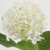 Artificial Flower 23*23*66cm Hydrangea *18 single stem GS-15422072-W1 Single Flowers YeahFlower is one of Chinese leading OEM manufacturers and exporters , supplying the silk flowers, wholesale artificial trees