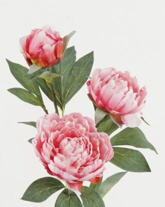 Artificial Flower 25*25*91cm Peony *3  single stem GS-15422075-P2 Single Flowers YeahFlower is one of Chinese leading OEM manufacturers and exporters , supplying the silk flowers, wholesale artificial trees