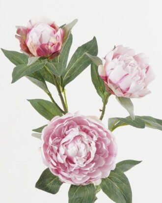 Artificial Flower 25*25*91cm Peony *3  single stem GS-15422075-P3 Single Flowers YeahFlower is one of Chinese leading OEM manufacturers and exporters , supplying the silk flowers, wholesale artificial trees