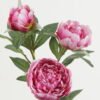 Artificial Flower 25*25*91cm Peony *3  single stem GS-15422075 Single Flowers YeahFlower is one of Chinese leading OEM manufacturers and exporters , supplying the silk flowers, wholesale artificial trees