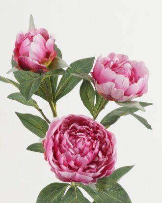 Artificial Flower 25*25*91cm Peony *3  single stem GS-15422075 Single Flowers YeahFlower is one of Chinese leading OEM manufacturers and exporters , supplying the silk flowers, wholesale artificial trees