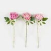 Artificial Flower 18*18*51cm Peony  single stem GS-15422076 Single Flowers YeahFlower is one of Chinese leading OEM manufacturers and exporters , supplying the silk flowers, wholesale artificial trees