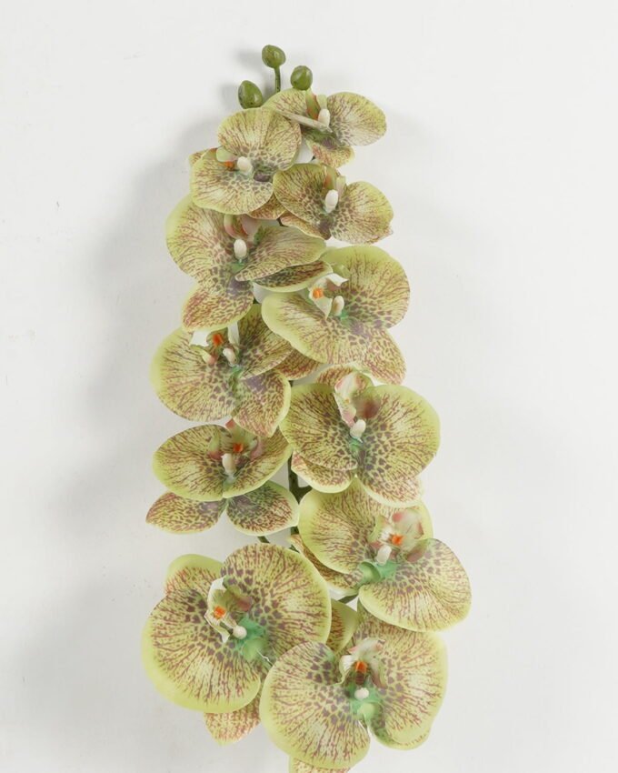 Artificial Flower 18*104cm Phalaenopsis *11 single stem GS-17722070 Single Flowers YeahFlower is one of Chinese leading OEM manufacturers and exporters , supplying the silk flowers, wholesale artificial trees