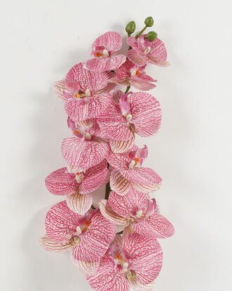 Artificial Flower 18*104cm Phalaenopsis *11 single stem GS-17722074 Single Flowers YeahFlower is one of Chinese leading OEM manufacturers and exporters , supplying the silk flowers, wholesale artificial trees