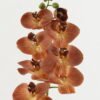 Artificial Flower 18*96cm Phalaenopsis single stem GS-68622007-K1 Single Flowers YeahFlower is one of Chinese leading OEM manufacturers and exporters , supplying the silk flowers, wholesale artificial trees
