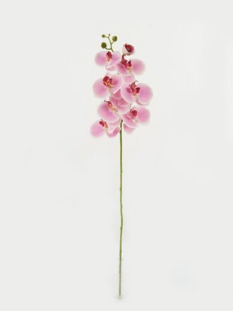 Artificial Flower 16*59cm Fruit single stem GS-66622027-W2 Single Flowers 3,000+ sqm showroom with thousands of artificial flowers, plants & trees ready for global sourcing.