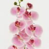 Artificial Flower 18*96cm Phalaenopsis single stem GS-68622007-P1 Single Flowers YeahFlower is one of Chinese leading OEM manufacturers and exporters , supplying the silk flowers, wholesale artificial trees