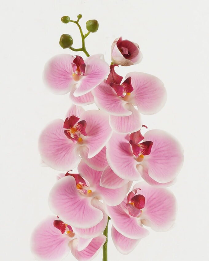 Artificial Flower 18*96cm Phalaenopsis single stem GS-68622007-P1 Single Flowers YeahFlower is one of Chinese leading OEM manufacturers and exporters , supplying the silk flowers, wholesale artificial trees