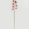 Artificial Flower 18*96cm Phalaenopsis single stem GS-68622007-P3 Single Flowers YeahFlower is one of Chinese leading OEM manufacturers and exporters , supplying the silk flowers, wholesale artificial trees