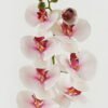 Artificial Flower 18*96cm Phalaenopsis single stem GS-68622007-P3 Single Flowers YeahFlower is one of Chinese leading OEM manufacturers and exporters , supplying the silk flowers, wholesale artificial trees