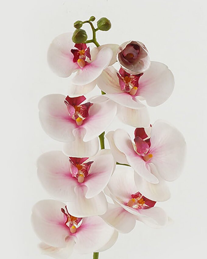 Artificial Flower 18*96cm Phalaenopsis single stem GS-68622007-P3 Single Flowers YeahFlower is one of Chinese leading OEM manufacturers and exporters , supplying the silk flowers, wholesale artificial trees