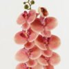 Artificial Flower 18*96cm Phalaenopsis single stem GS-68622007-P4 Single Flowers YeahFlower is one of Chinese leading OEM manufacturers and exporters , supplying the silk flowers, wholesale artificial trees