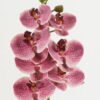 Artificial Flower 18*96cm Phalaenopsis single stem GS-68622007-R1 Single Flowers YeahFlower is one of Chinese leading OEM manufacturers and exporters , supplying the silk flowers, wholesale artificial trees