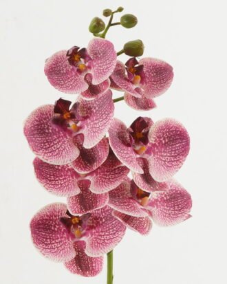 Artificial Flower 18*96cm Phalaenopsis single stem GS-68622007-R1 Single Flowers YeahFlower is one of Chinese leading OEM manufacturers and exporters , supplying the silk flowers, wholesale artificial trees