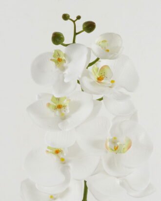 Artificial Flower 18*96cm Phalaenopsis single stem GS-68622007-W1 Single Flowers YeahFlower is one of Chinese leading OEM manufacturers and exporters , supplying the silk flowers, wholesale artificial trees