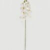 Artificial Flower 18*96cm Phalaenopsis single stem GS-68622007-W2 Single Flowers YeahFlower is one of Chinese leading OEM manufacturers and exporters , supplying the silk flowers, wholesale artificial trees