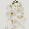 Artificial Flower 18*96cm Phalaenopsis single stem GS-68622007-W2 Single Flowers YeahFlower is one of Chinese leading OEM manufacturers and exporters , supplying the silk flowers, wholesale artificial trees