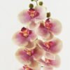 Artificial Flower 18*96cm Phalaenopsis single stem GS-68622007-Y2 Single Flowers YeahFlower is one of Chinese leading OEM manufacturers and exporters , supplying the silk flowers, wholesale artificial trees