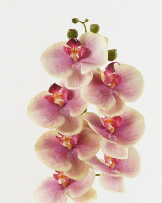 Artificial Flower 18*96cm Phalaenopsis single stem GS-68622007-Y2 Single Flowers YeahFlower is one of Chinese leading OEM manufacturers and exporters , supplying the silk flowers, wholesale artificial trees